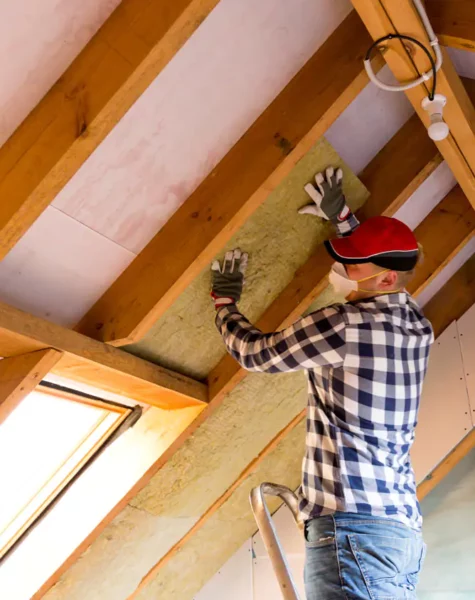 professional-insulation-attic